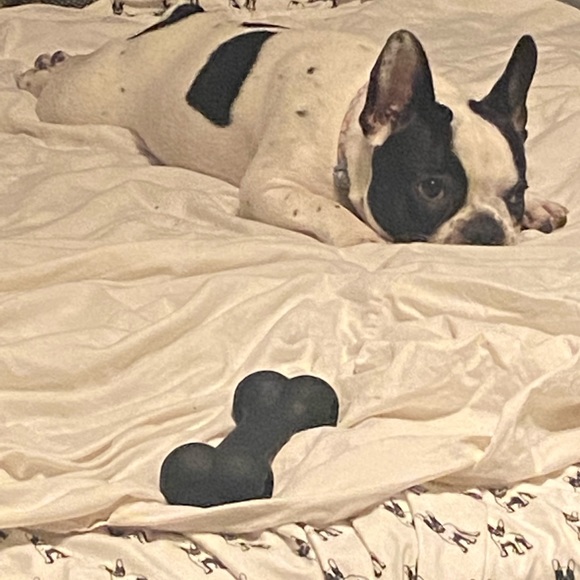 Meet your Posher, Sandra - Picture 1 of 1